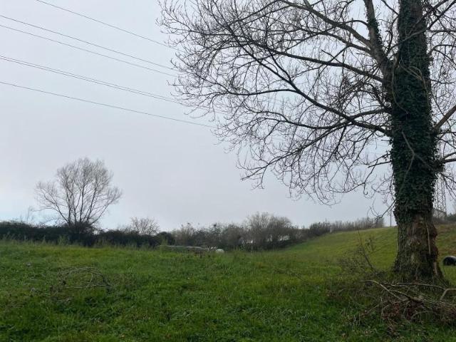 Parcela en venta en Langreo, La Felguera