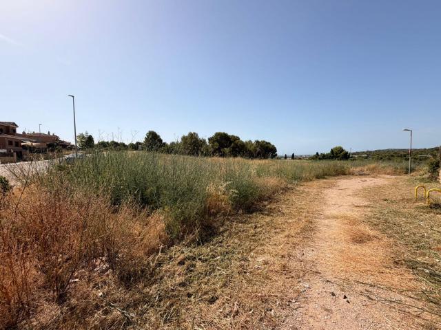 PARCELA EN VENTA EN LAS PEDRERES SANTA OLIVA