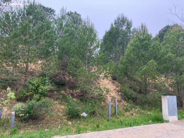 Parcela en venta en lEscala