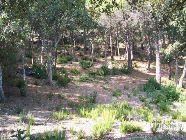 Parcela en venta en Lloret de Mar