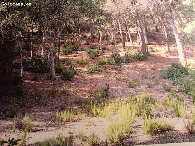 Parcela en Venta en Lloret de Mar, Girona