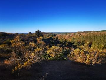Parcela en Venta en Parcelas Pichilemu/ Lo Gallardo/ Ciruelos/ vende su dueña