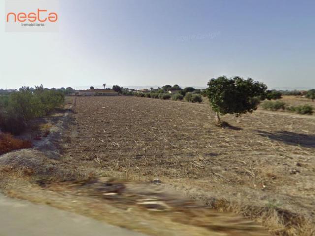 Parcela en venta en Lorca, Alameda Cervantes El gato