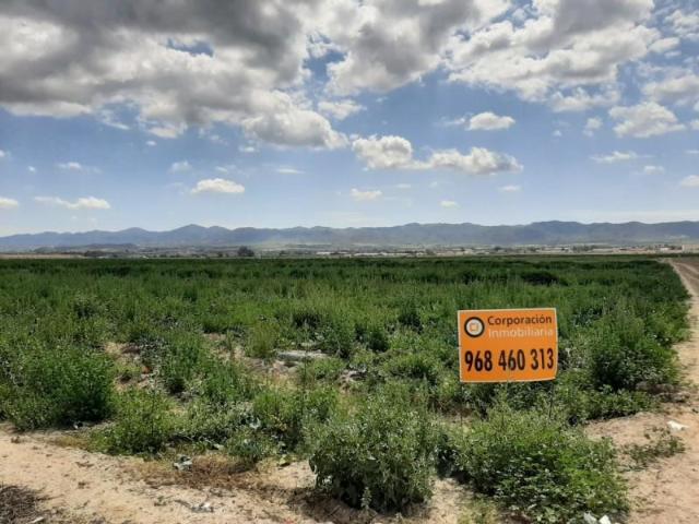 Parcela en venta en Lorca, Cazalla
