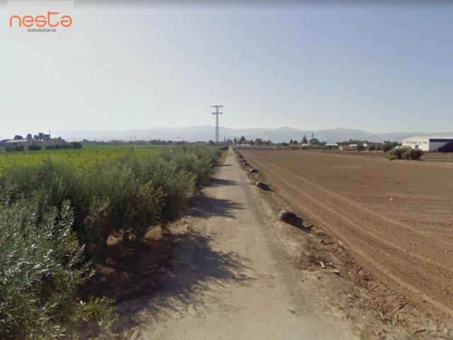 Parcela en venta en Lorca, La Hoya