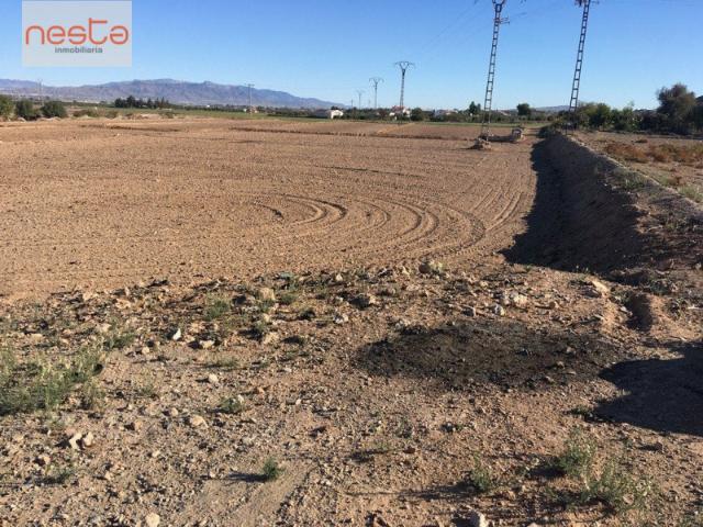 Parcela en venta en Lorca, Purias