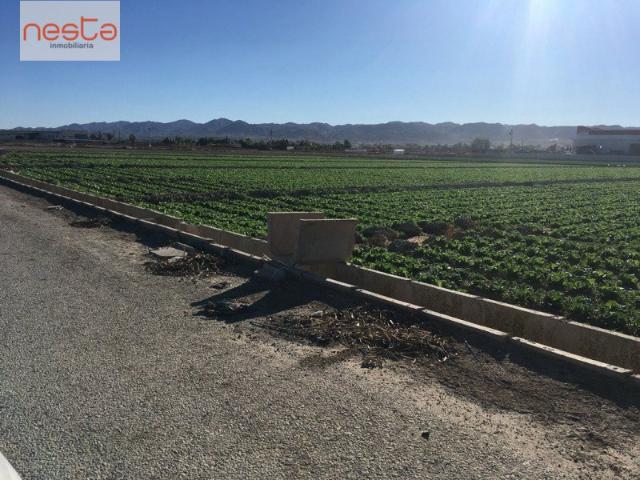 Parcela en venta en Lorca, Purias