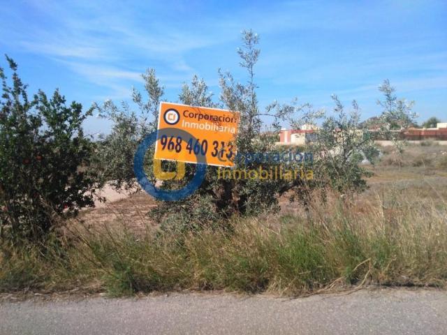 Parcela en venta en Lorca, Purias