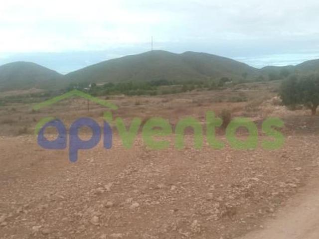 Parcela en venta en Lorca, Purias