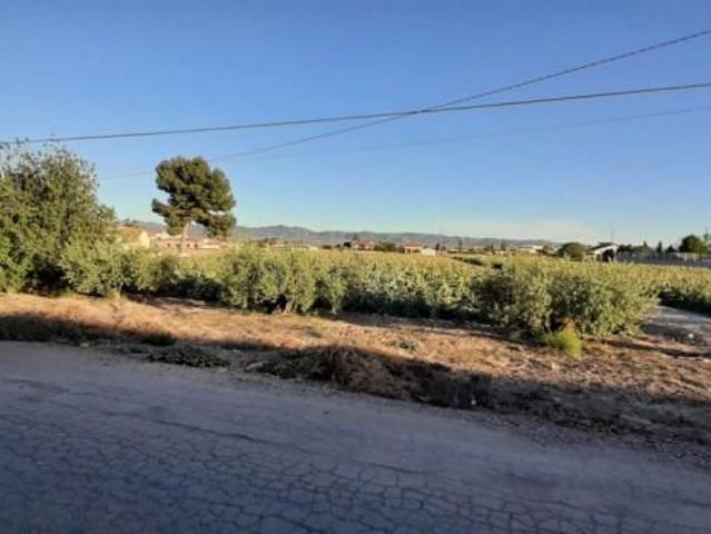 Parcela en venta en Lorca, Purias
