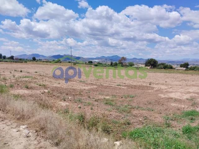 Parcela en venta en Lorca, Purias