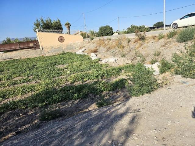 Parcela en venta en Lorca, Torrecilla