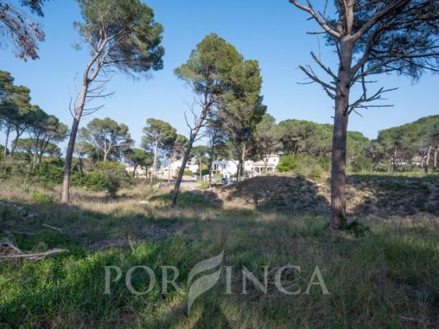 Parcela en venta en Pals, Platja de Pals