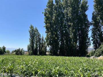 Parcela en Venta en Parcela 41 Lo Moya santa ines