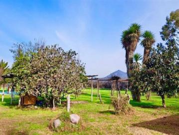 Parcela en venta en peñaflor 5.000 m2