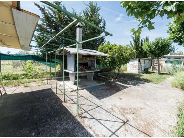 Parcela en venta en Peñaflor: huerto, olivos, naturaleza y tranquilidad a pocos minutos de Zaragoza