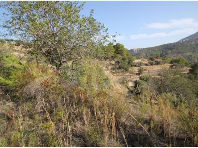 Parcela en Venta en Pinos, Benissa, Alicante