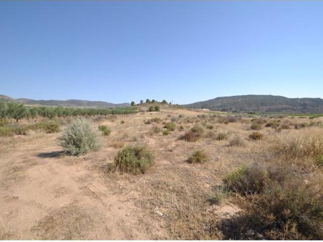 Parcela en Venta en Pinoso, Alicante