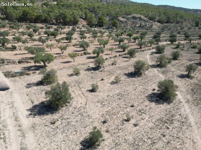 Parcela en Venta en Pinoso, Alicante
