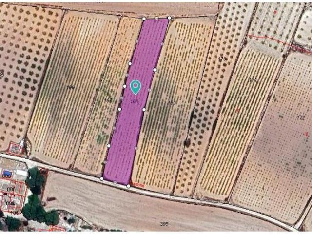 Parcela en Venta en Pinoso, Alicante