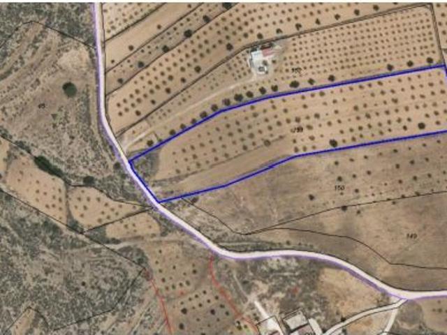 Parcela en Venta en Pinoso, Alicante