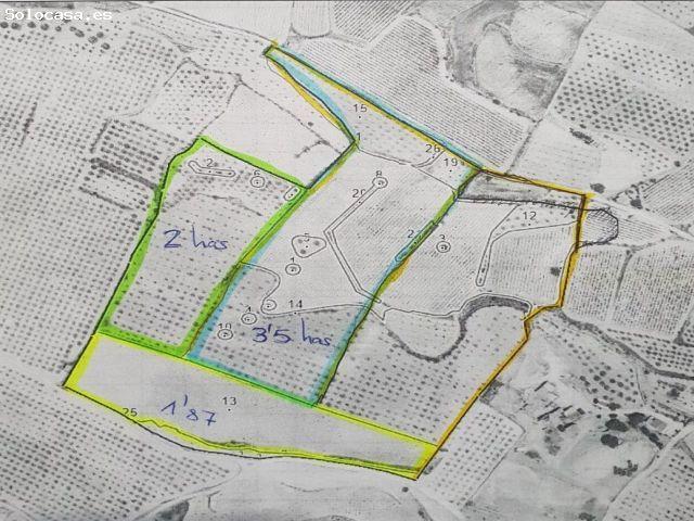 Parcela en Venta en Pinoso, Alicante
