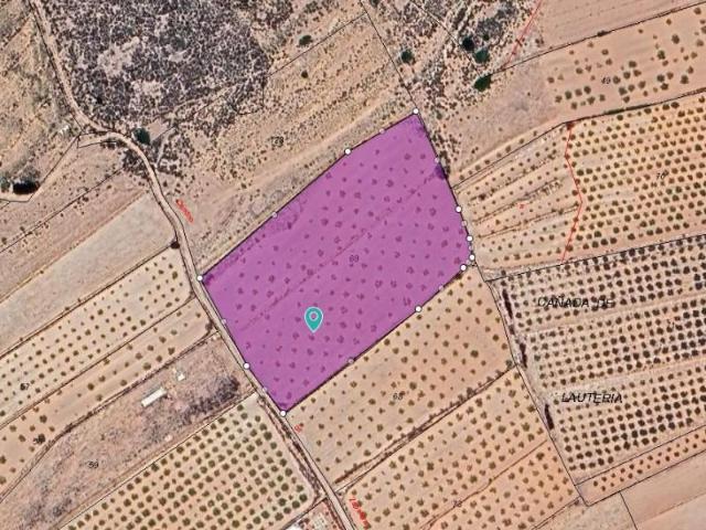 Parcela en venta en Pinoso, Comunidad valenciana