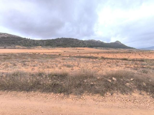 Parcela en venta en Pinoso, Comunidad valenciana