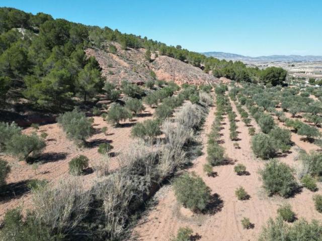 Parcela en venta en Pinoso, Comunidad valenciana