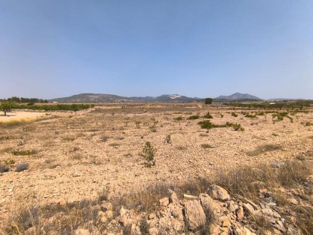 Parcela en venta en Pinoso, Comunidad valenciana