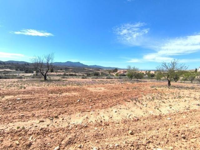 Parcela en venta en Pinoso, Comunidad valenciana