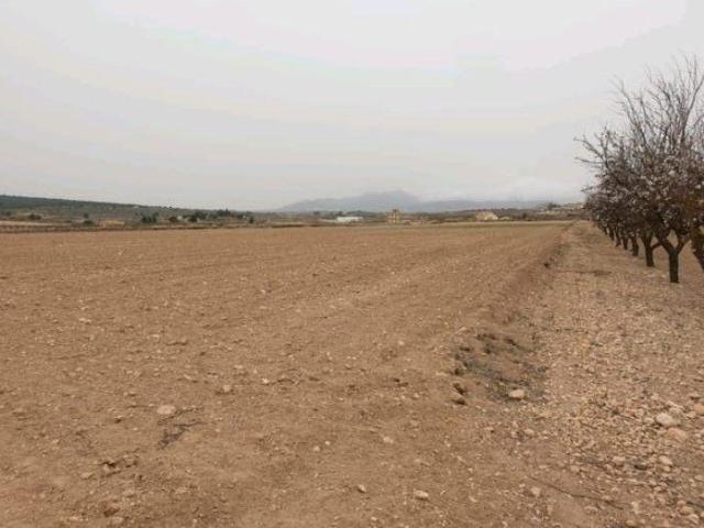Parcela en venta en Pinoso, Comunidad valenciana