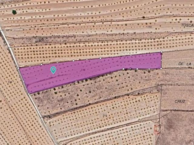 Parcela en venta en Pinoso, Comunidad valenciana