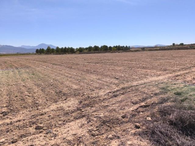 Parcela en venta en Pinoso, Comunidad valenciana