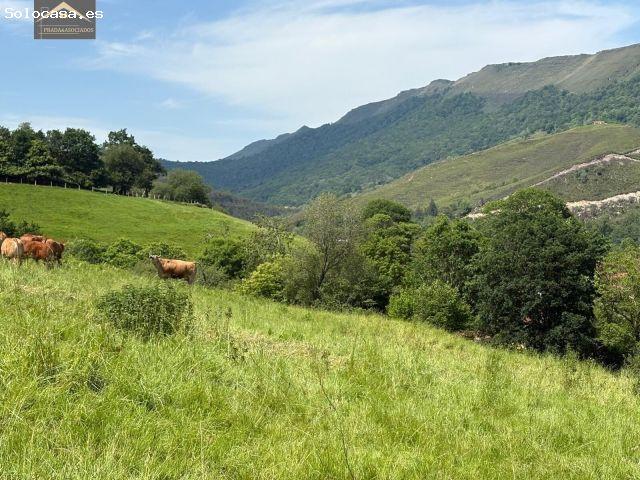 Parcela en Venta en Ruente, Cantabria