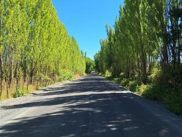Parcela en Venta en Ruta Q 30, Camino La mona,Los Angeles VIII Region
