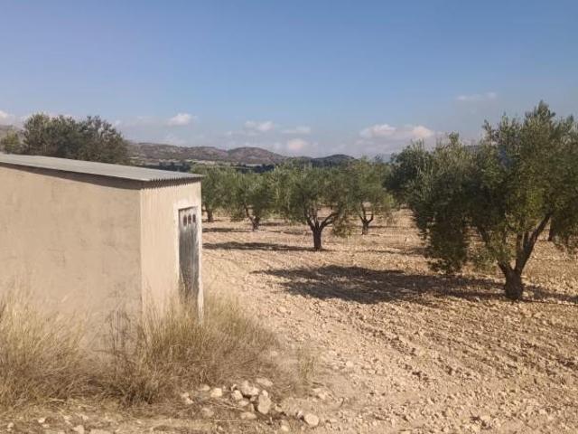 Parcela en venta en Salinas, Comunidad valenciana