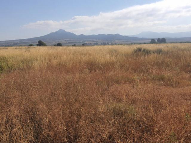 Parcela en venta en Salinas, Crta. salinas monovar