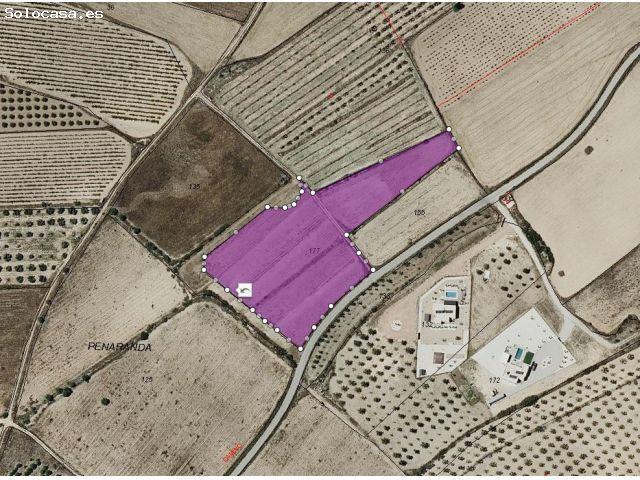 Parcela en Venta en Salinas de Añana, Alicante