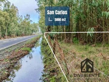 Parcela en venta en San Carlos, orilla de asfalto