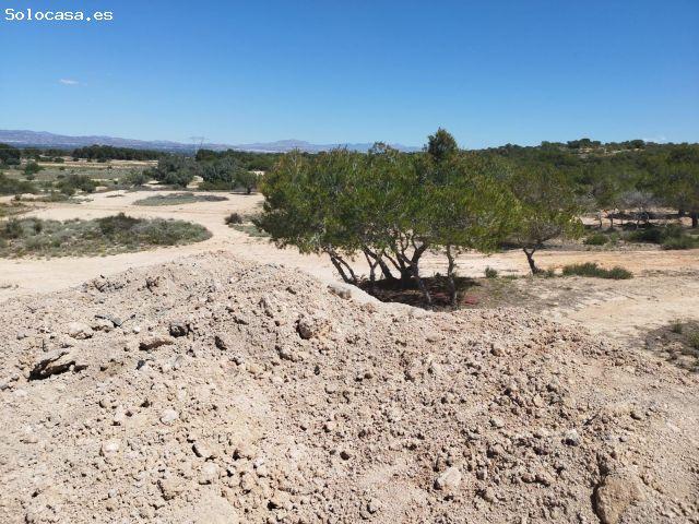 Parcela en Venta en San Fulgencio, Alicante