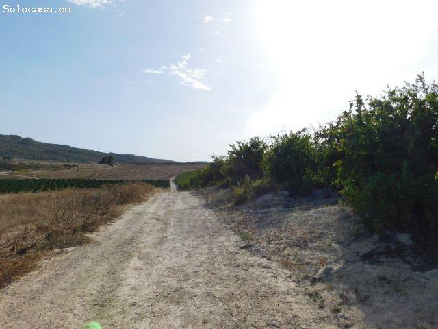 Parcela en Venta en San Miguel de Salinas, Alicante