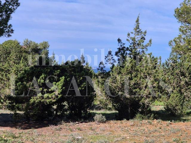 Parcela en venta en Sant Josep de sa Talaia Baleares