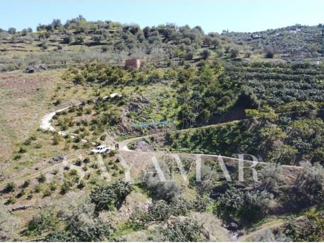 Parcela en venta en Sayalonga Málaga
