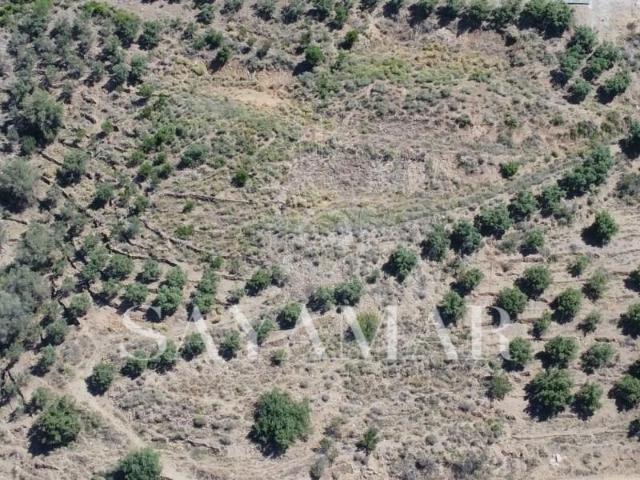 Parcela en venta en Sayalonga Málaga