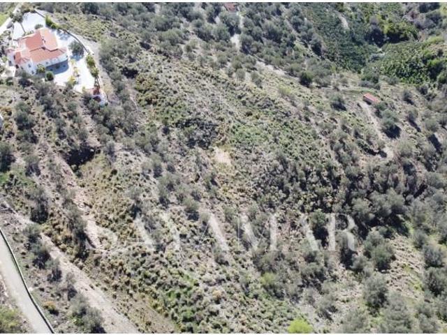Parcela en venta en Sayalonga Málaga