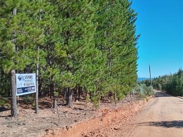 Parcela en Venta en Sector Los Cristales, camino interior a Vichuquén