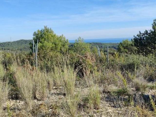 Parcela en venta en Segur de Calafell, Les Brises de Calafell Segur de Dalt