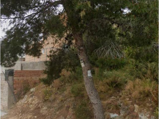 Parcela en venta en Segur de Dalt Les Brises