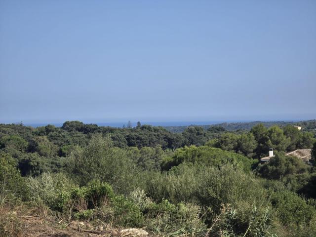 Parcela en venta en Sotogrande Cádiz